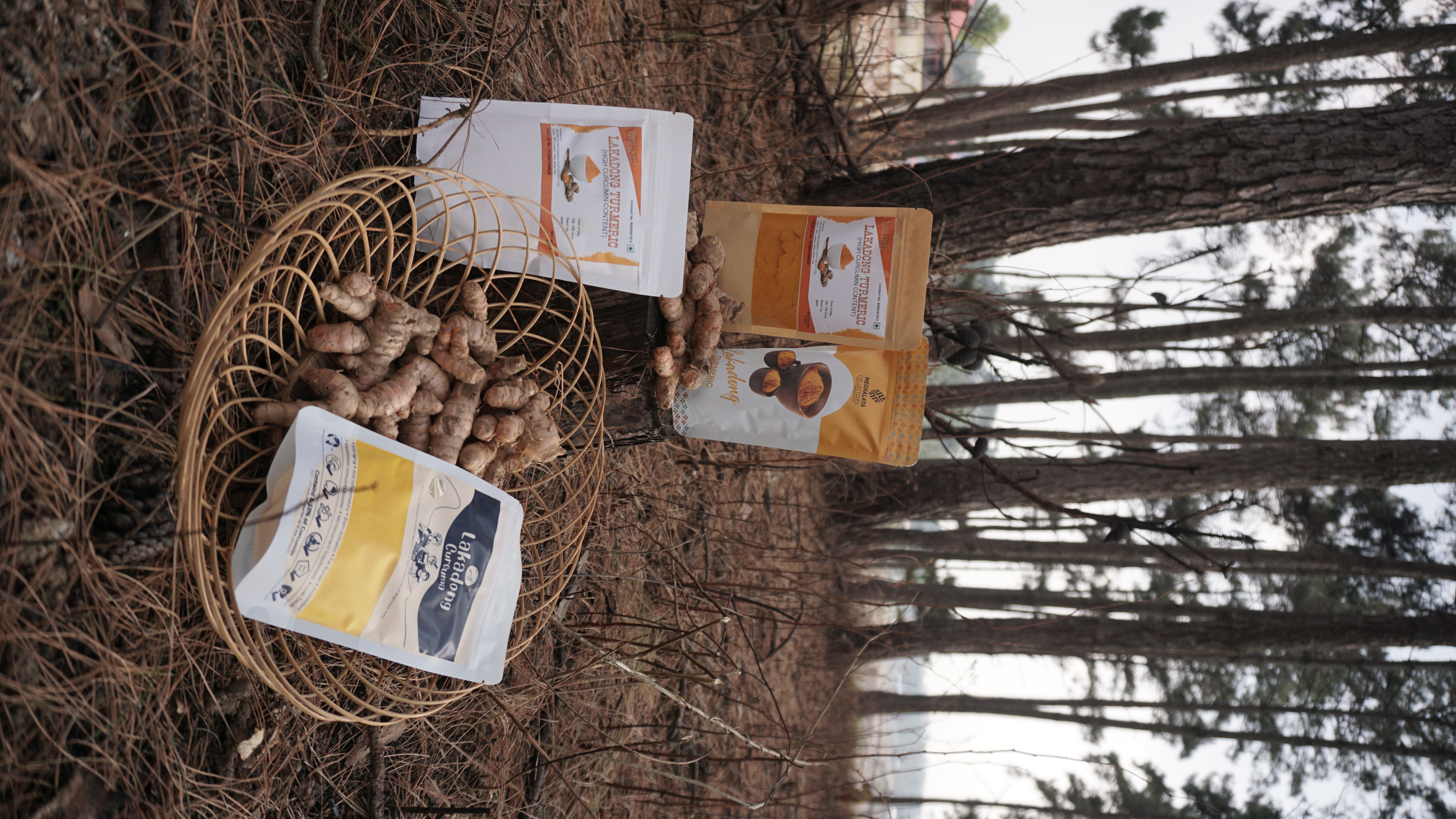 Life Spices Photo 30